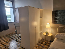 Tan Tong Meng Tower (D11), Apartment #482049381